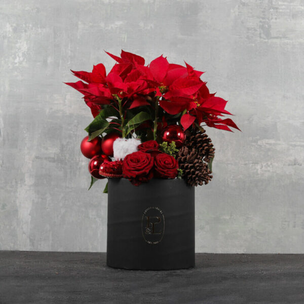 Vibrant-Red-Poinsettia