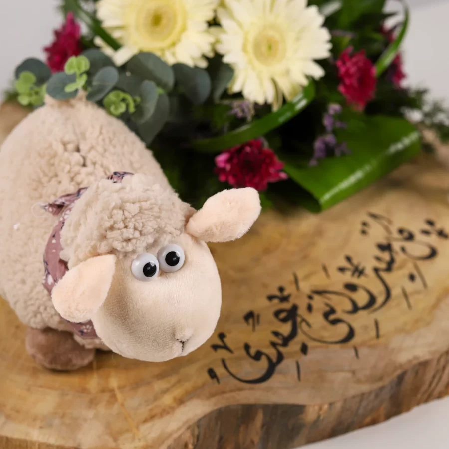 Sheep Eid Arrangement