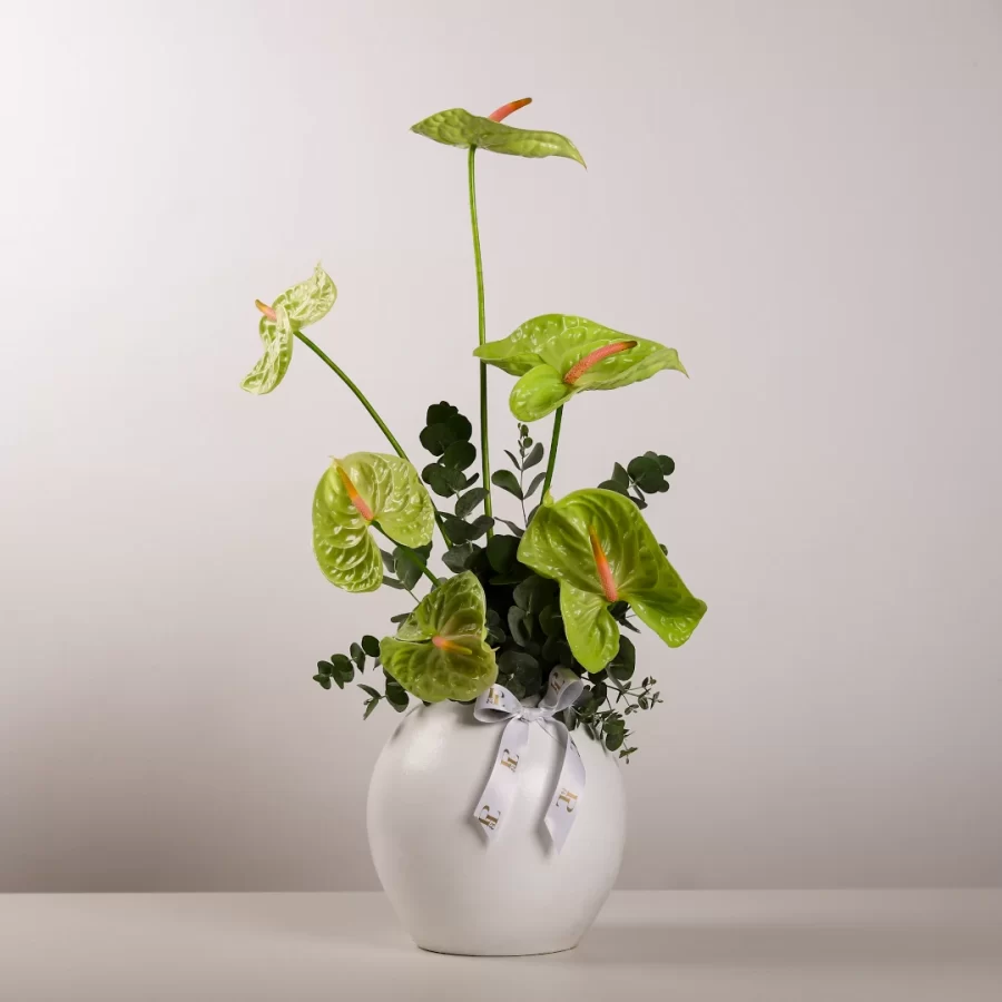 Anthurium Amour Vase