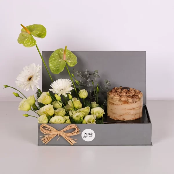 Green Serenity Tiramisu Box