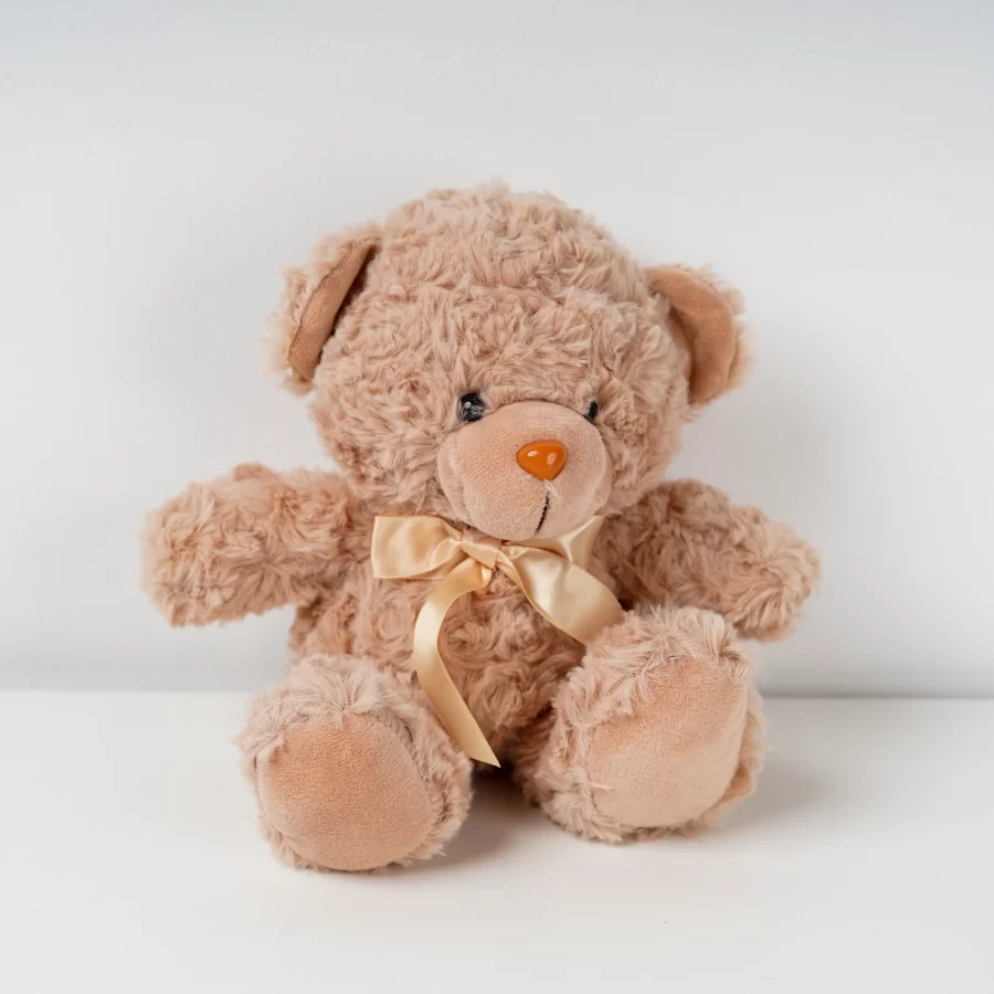 Charming Teddy Bear