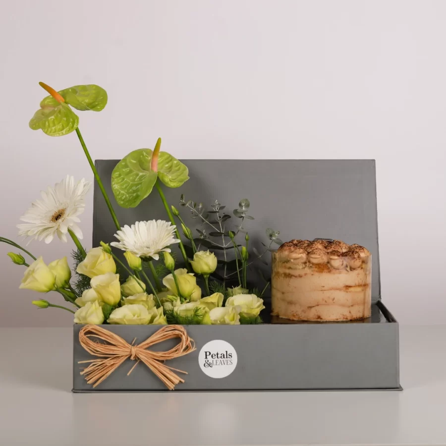 Green Serenity Tiramisu Box